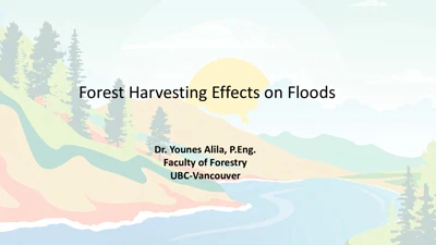 Forest Harvesting Effects on Floods