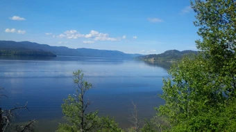 2016 Strategy Update