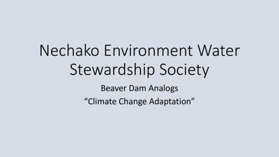 NEWWS - Beaver Dam Analogs