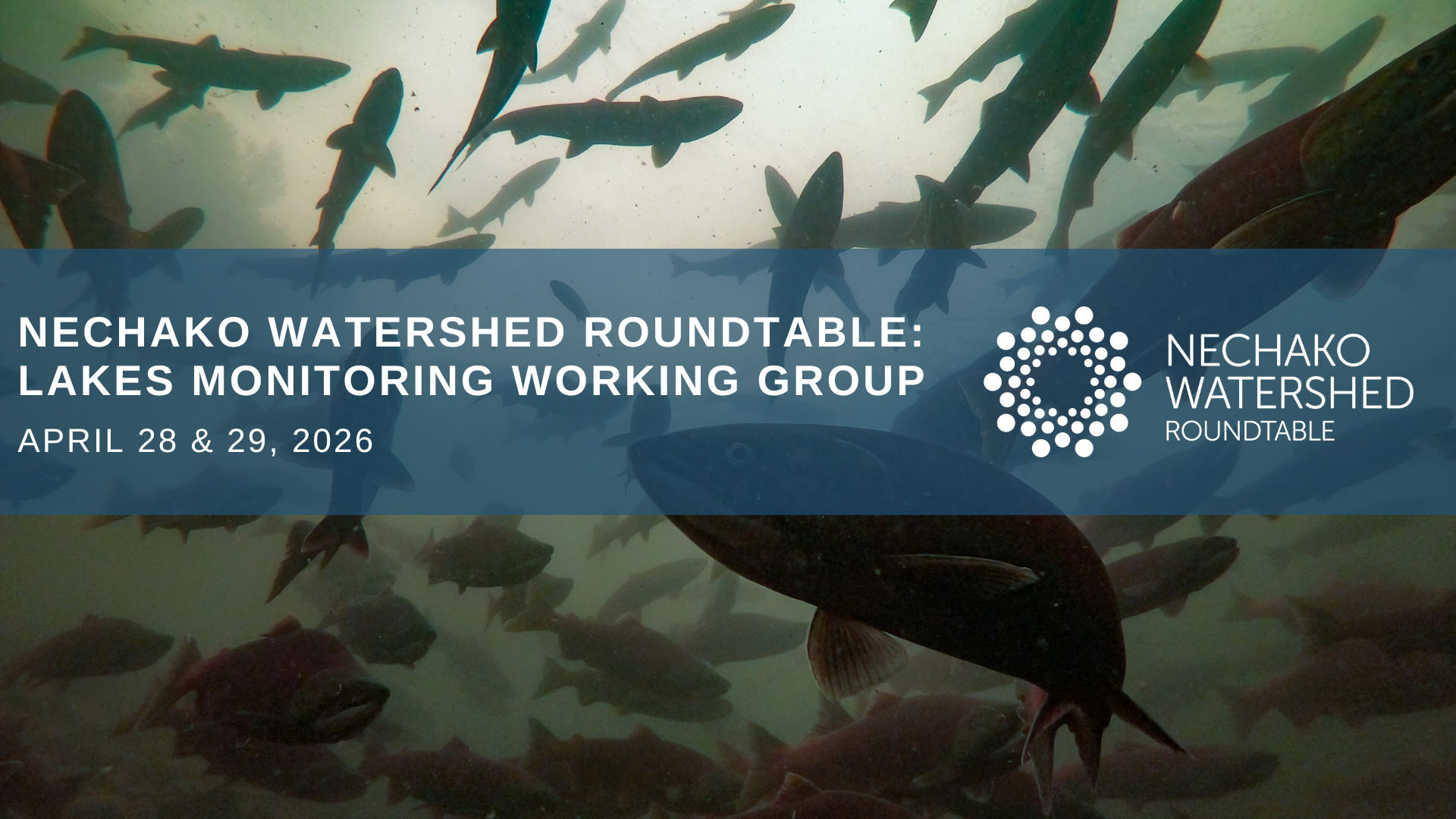 Lakes Monitoring Working Group Workshop